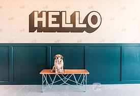 WeWork | University Park