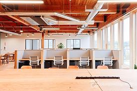 The Pioneer Collective - Ballard