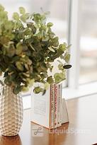 HuddleUp Powered By 25N Coworking