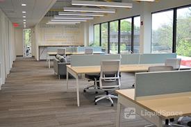 HAYVN Coworking Darien