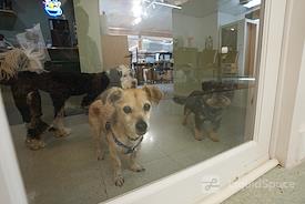 Studious Coworking Space