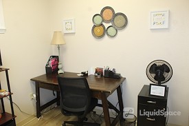The Collective Wellness Institute