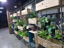 Line Up Coffee & Co-working space