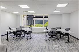 Expansive - Magnificent Mile