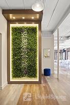 Class & Co - Williamsburg