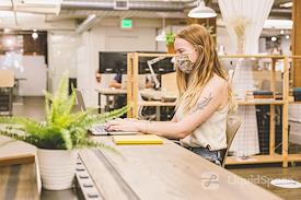 The Pioneer Collective - Belltown