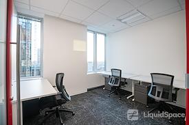 The Professional Centre