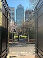 CWP Management Services