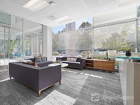 Expansive - North First