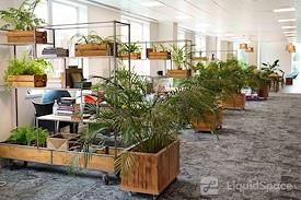 The Curious Lounge CIC