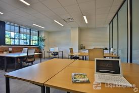 Venture X | Greenville Plush Mills