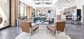 Expansive - Austin Highland