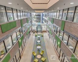 Boxer - Northbrook Atrium Plaza