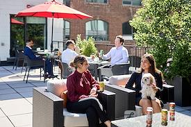 iQ Offices | 545 King Street