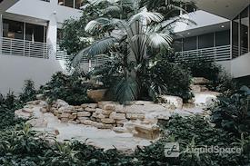 Executive Workspace| West Austin