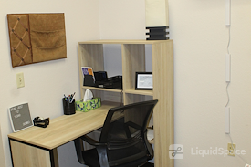 The Collective Wellness Institute