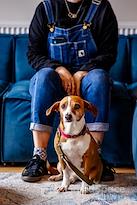 Gather Round - Brunswick