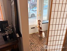 The Gallery Workspaces