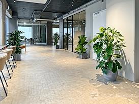 Regus | Reykjavik, L27