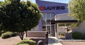 Lady Bug Eco-Friendly Pest Control