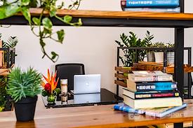 In the Shade Hotel + coworking 300Mbit fiber