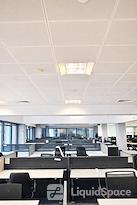 CWP Management Services