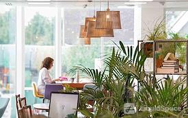 The Curious Lounge CIC