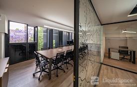 Net(work) Insurgentes Sur