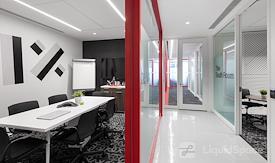 The Professional Centre