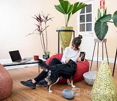 Symbiosis Art & Coworking Lima