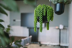 EDGE Workspaces | HafenCity Hamburg