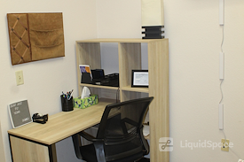 The Collective Wellness Institute