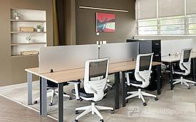 Serendipity Labs - Rye