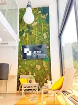 Area Cowork