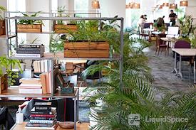 The Curious Lounge CIC