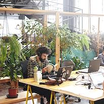 Aldeia Coworking - Sede Cândido de Abreu