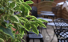 WDR - Turn potential into progress