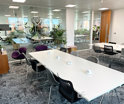 The Curious Lounge CIC