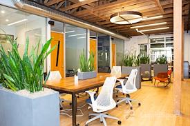 Kiva Cowork