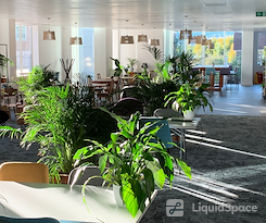 The Curious Lounge CIC