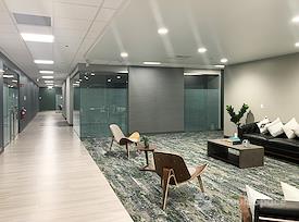 Boxer - 85 Swanson Road