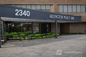 Boxer - Arlington Heights