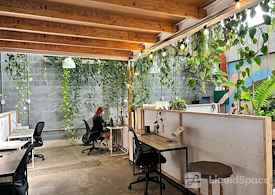 Herb Urban Hub