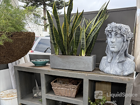 De'Anna Nunez Hypnosis