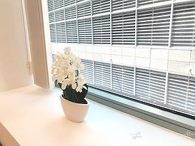 Beautiful Office Suites !! Window Water Front View!!!