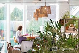 The Curious Lounge CIC