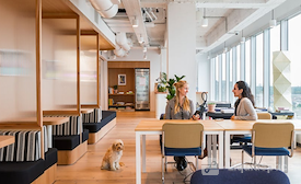 WeWork Botanic