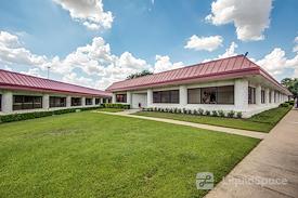 Boxer - Forest Park Gardens