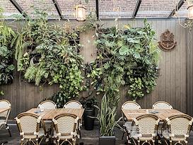 Workden - Little Burgundy