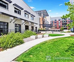 Boxer - 3827 Lafayette Street